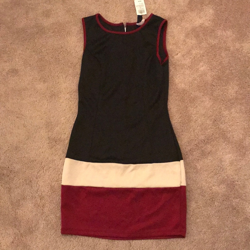 Bodycon Colorblock Dress